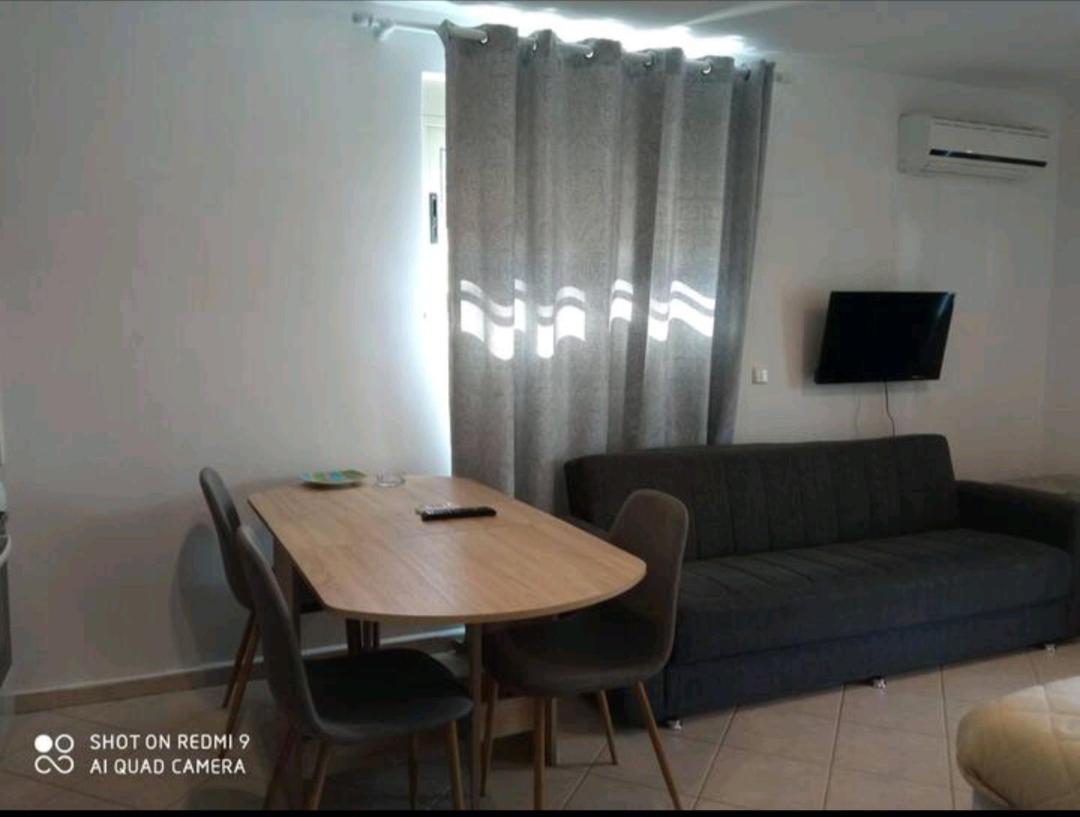 Theoni'S Apartments 자일로카스트론 외부 사진