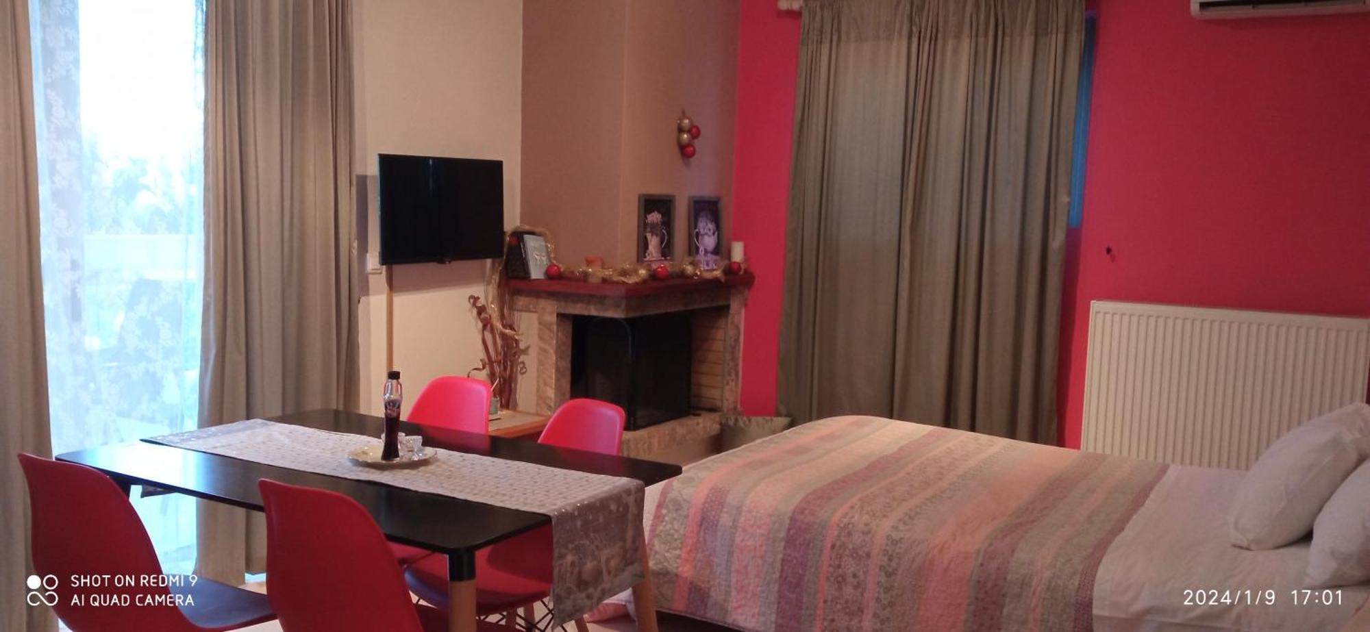 Theoni'S Apartments 자일로카스트론 외부 사진